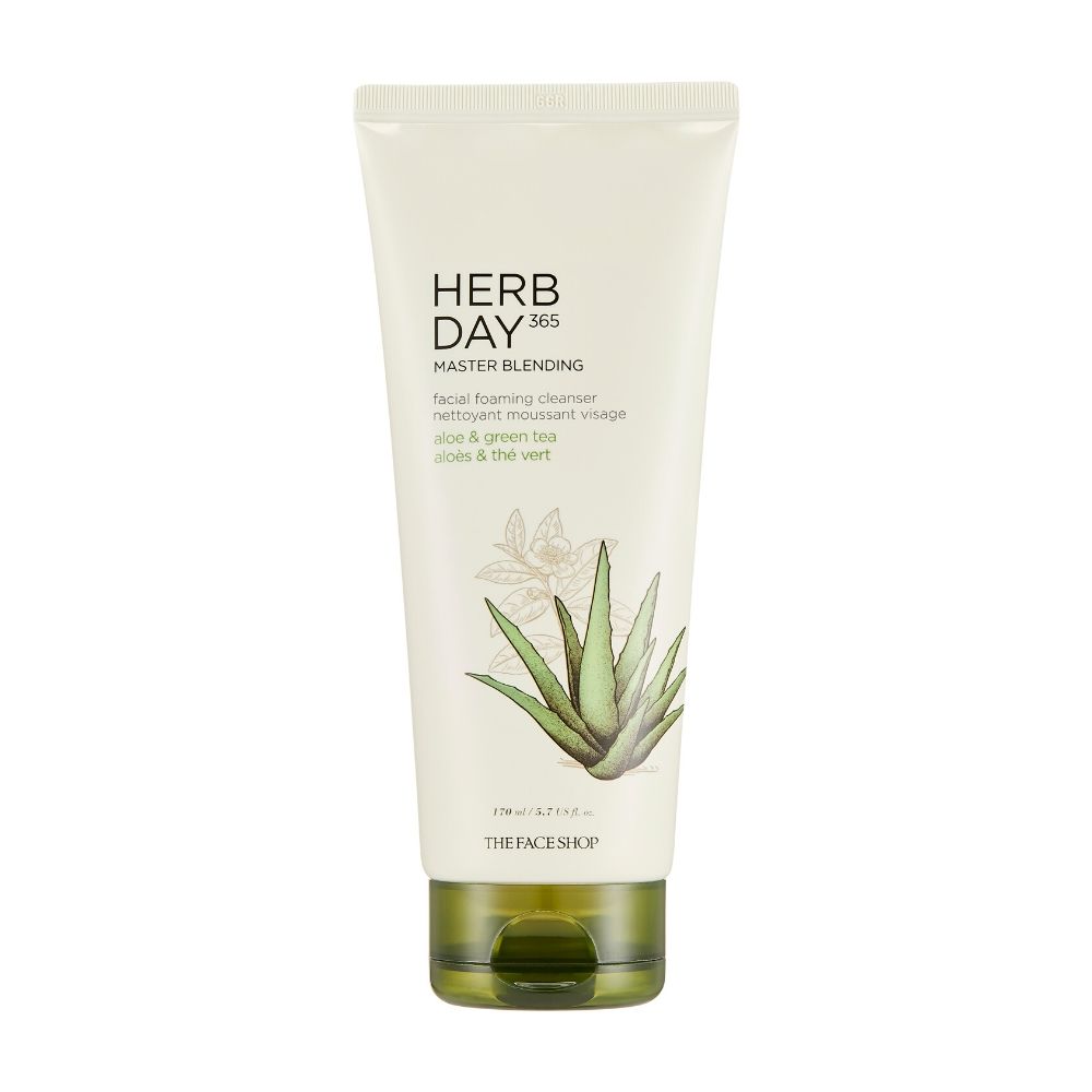 THEFACESHOP Herb Day 365 Master Blending Foaming Cleanser Aloe & Green Tea