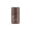 THEFACESHOP Quick Hair Puff 01 Natural Brown